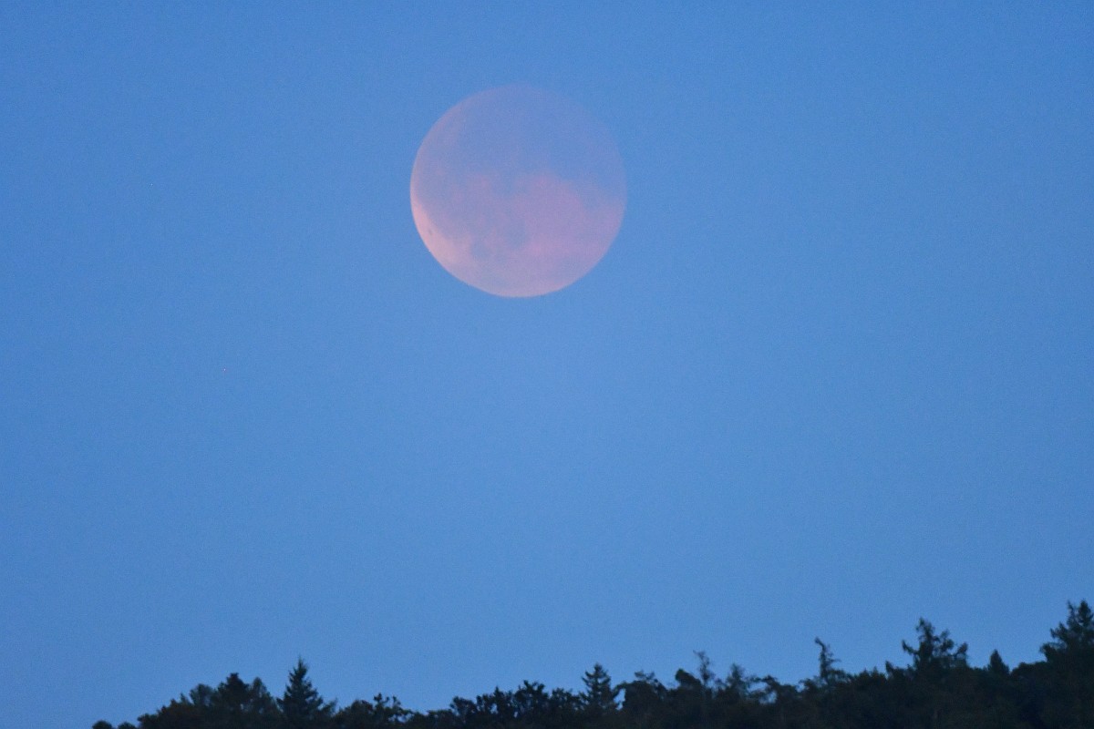 Modenfinsternis_0188.jpg