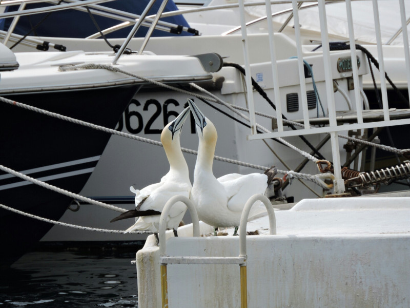 DSCN4581.JPG
