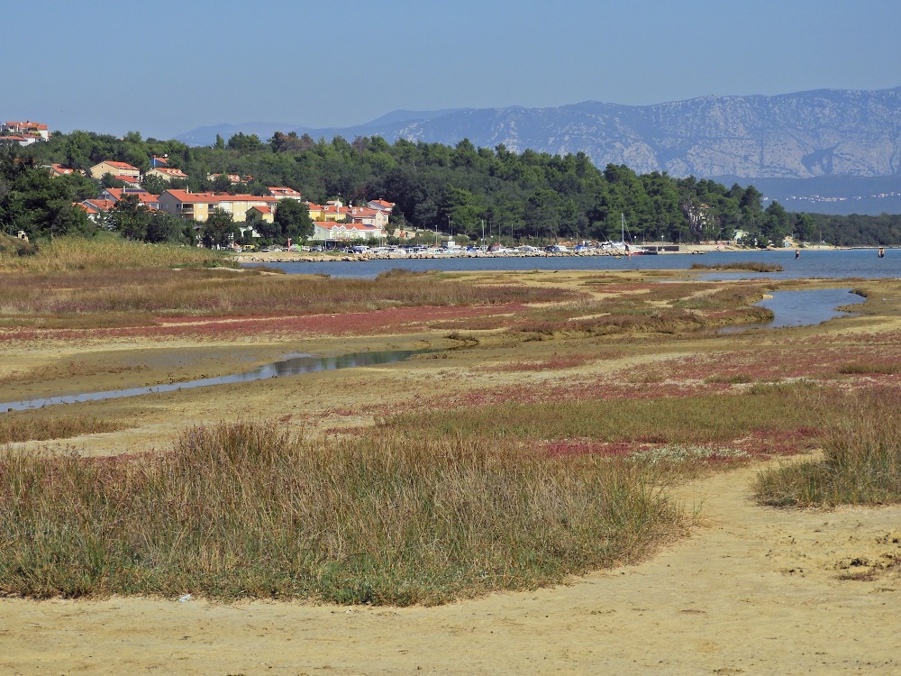 soline9230.jpg