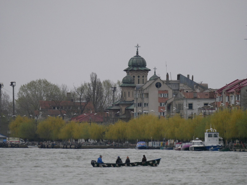 P1310633.JPG
