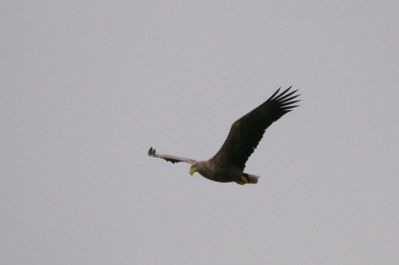 P1310640.JPG