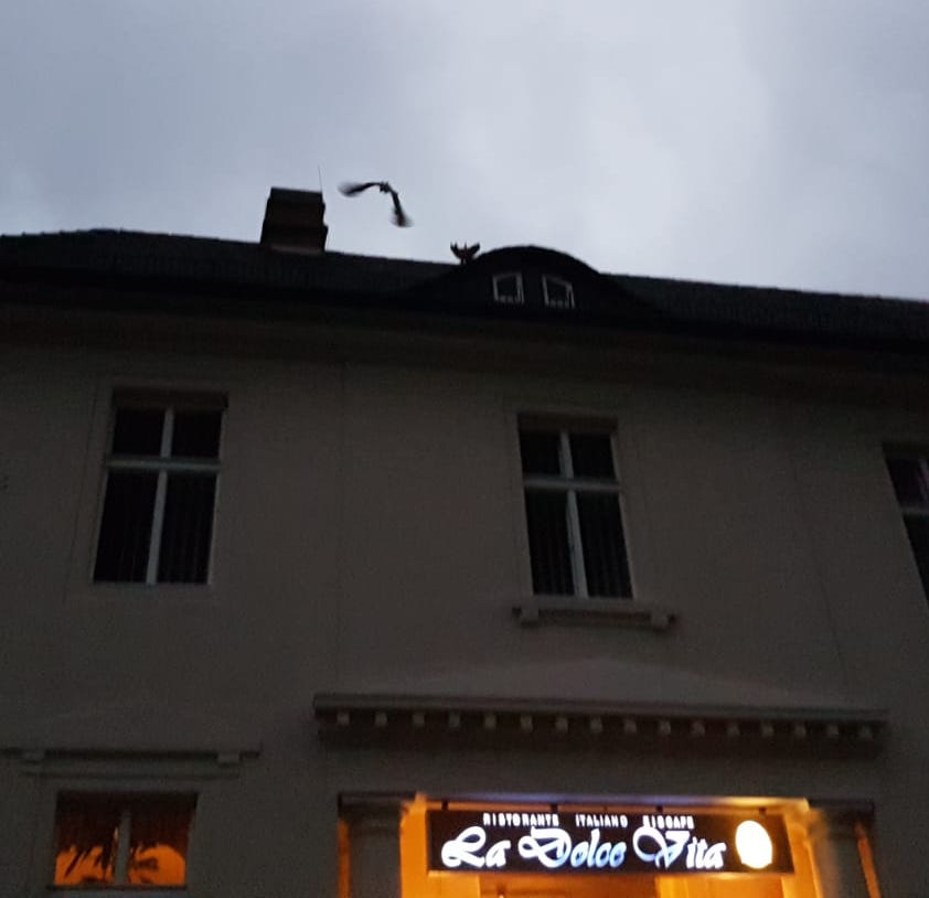 Raetsel.jpg
