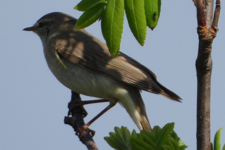 DSCN8901a.jpg