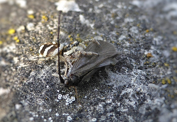 P1040832_F.jpg